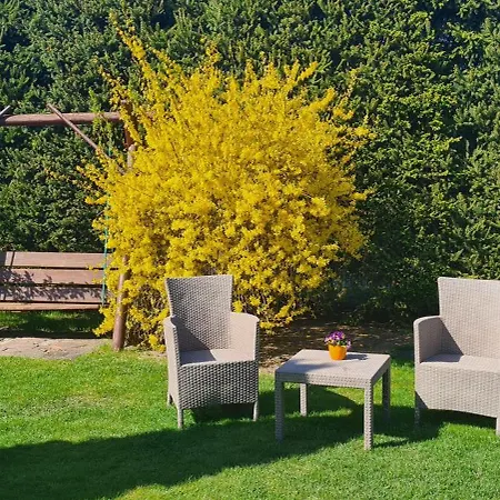 I U Asi Casa vacanze *